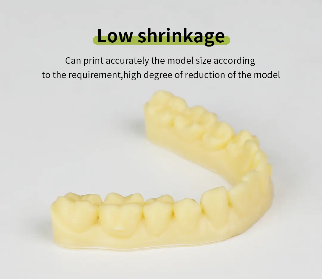 Creality- PioNext Ortho Model Resin Photosensitive Light Curing Biocompatible Resin for dental models